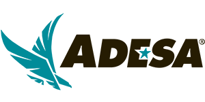 Adesa – Amerykańska aukcja