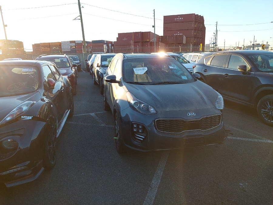 Kia Sportage Sx Turbo 2019 Blue 2.0L vin: KNDPRCA6XK7516143