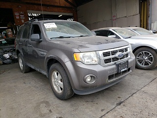 2011 Ford Escape Xlt vin: 1FMCU0D71BKB65549