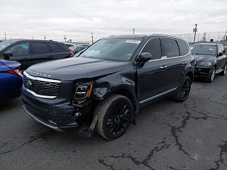 2020 Kia Telluride Sx vin: 5XYP5DHC5LG077404