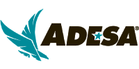 Adesa – Amerykańska aukcja