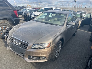 Audi A4 Premium Plus 2011 Gold 2.0L 4 vin: WAUFFAFL9BA158038