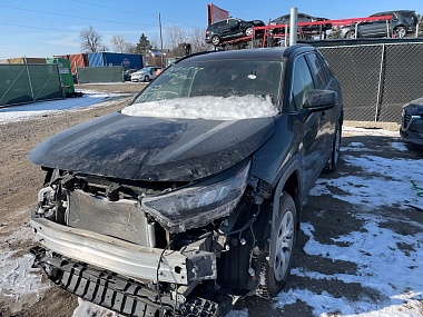 2019 Toyota Rav4 Le vin: 2T3F1RFV3KW067642