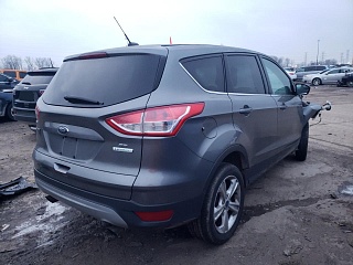  2014 Ford Escape 1FMCU0GXXEUC50300